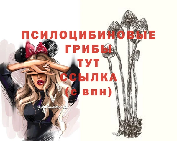 не бодяженный Богородск